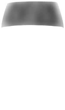 kékáfonya 0,25 liter, 316