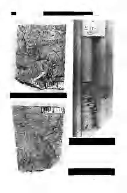 34 6 Földtani Közlöny, 103.