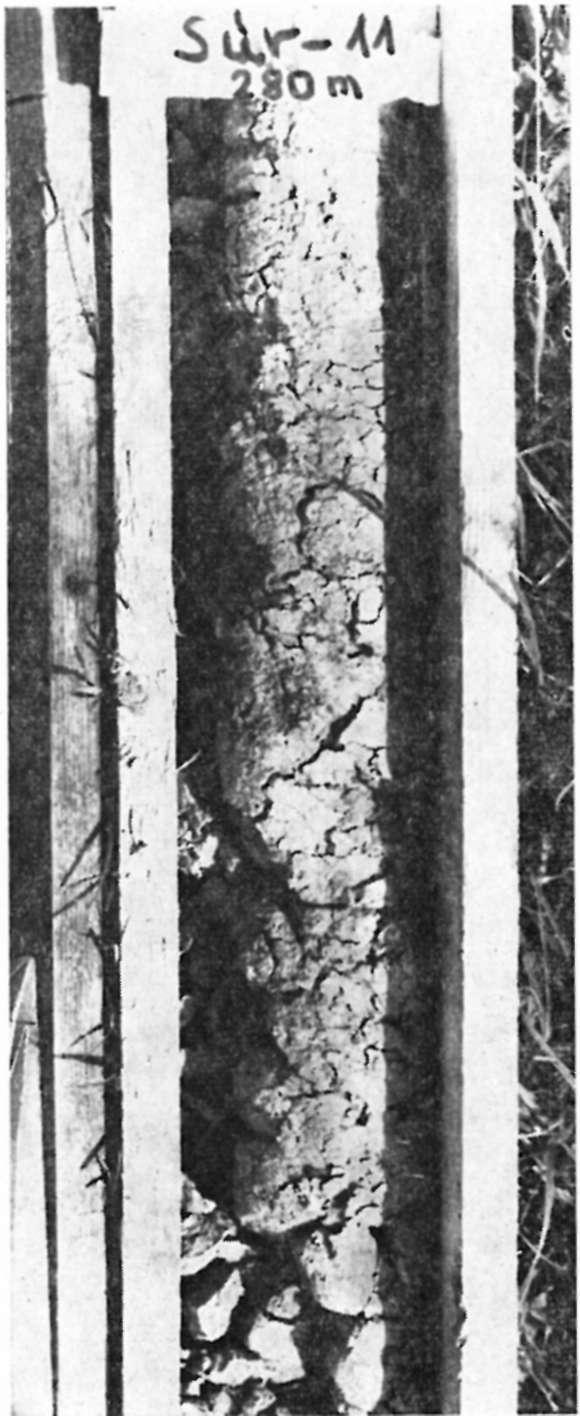 12. ábra.