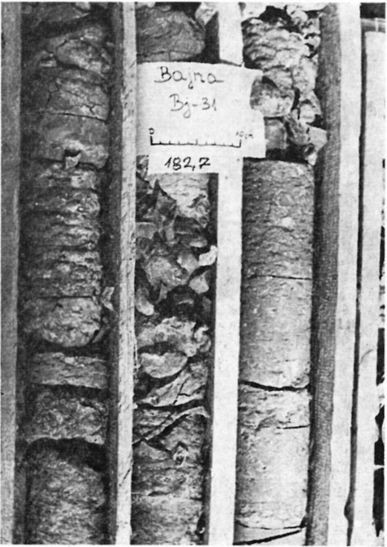 agyagos aleurit. Oligocén 11.