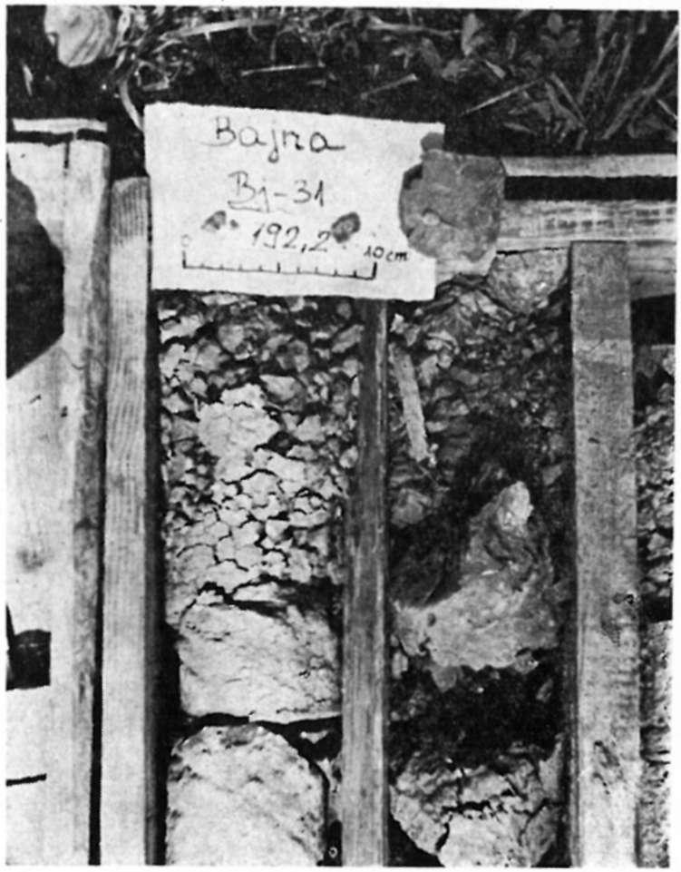 aleuritos agyag.