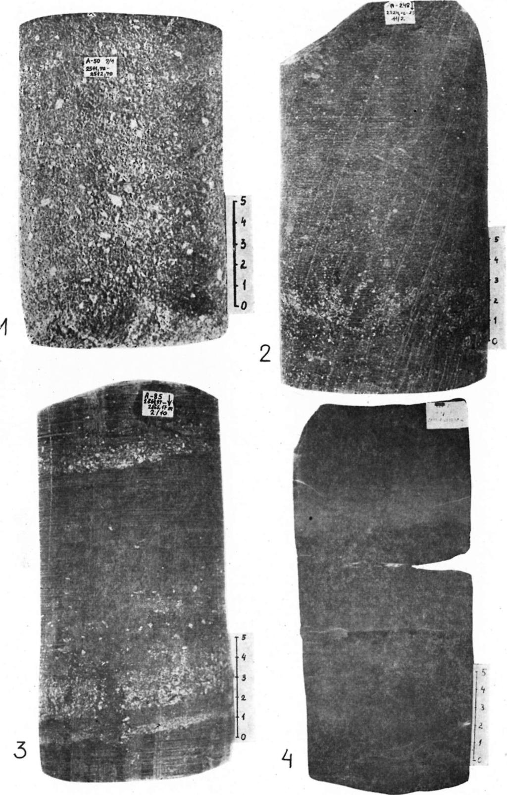 IV. 263