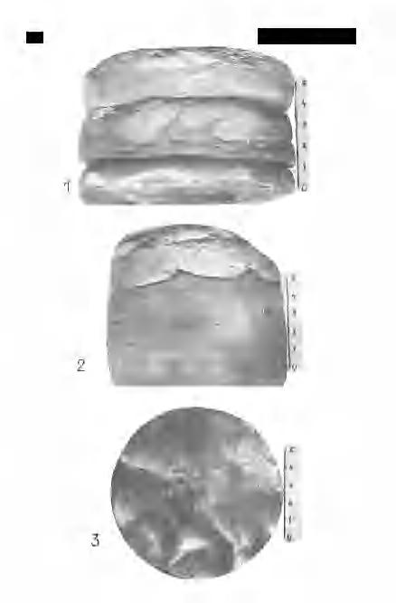 266 VII.