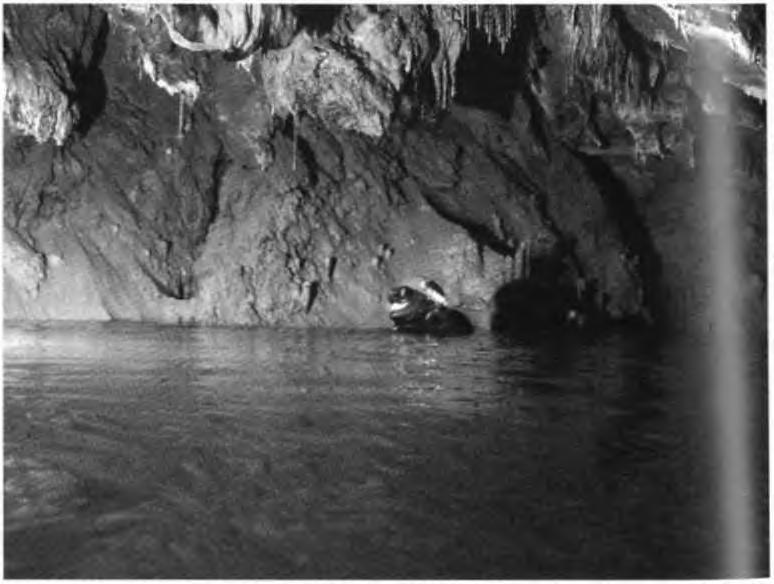 Mégis, néhány címszóban megemlékezve: 1956-ban feltárták a barlangot, majd közvetlen ez után megpróbáltak a szifonon is továbbjutni.