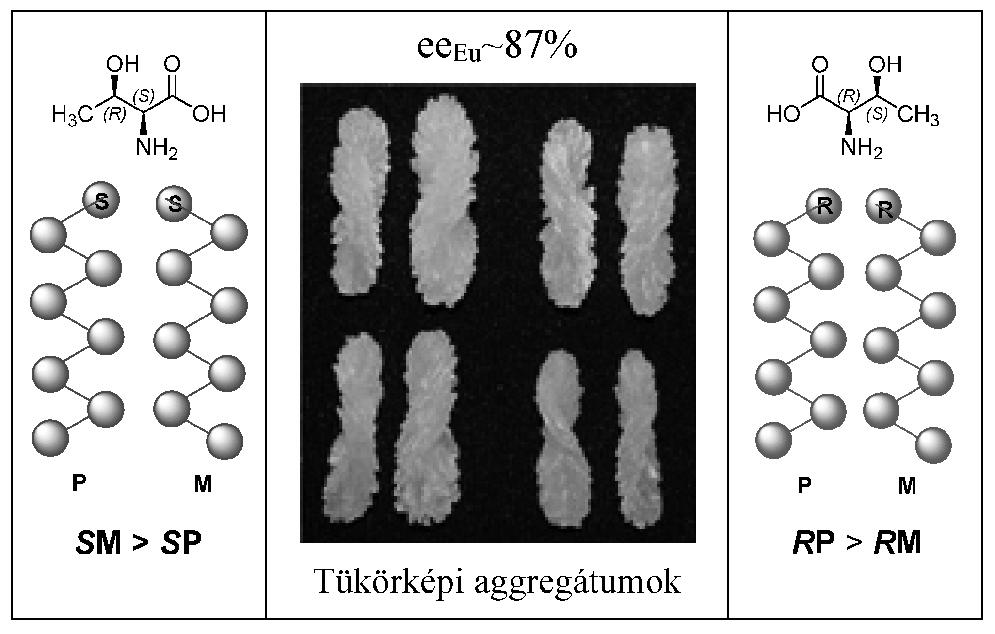 szupramolekuláris szerkezetû asszociátumok vannak, melyek önszervezõdésének (SDE-self-disproportionation of ennatiomers) 7 köszönhetõen homo- és heterokirális asszociátumok keletkeznek, melyek
