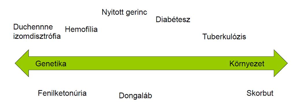 Környezet és egészség Táplálkozás Vízminőség Fizikai