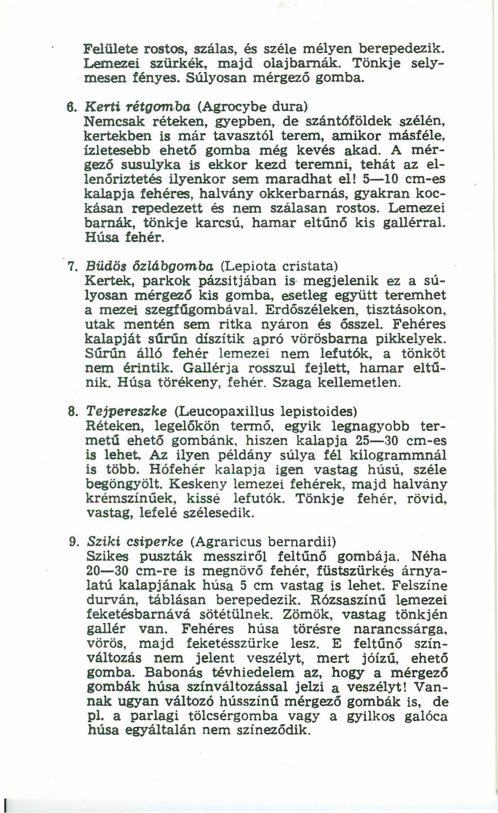 Felülete rostos, szálas, és széle mélyen berepedezik. Lemezei szürkék, majd olajbarnák. Tönkje seiymesen fényes. Súlyosan mérgező gomba. 6.