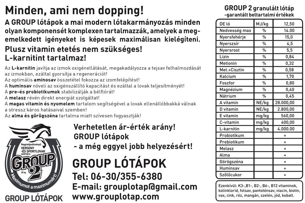HÍREK Magyarok külföldön Diplomata újabb Group 1-es versenyben dobogós! Hazánk legjobb ugrólova, Diplomata ismét remekül szerepelt Olaszországban, a Group 1-es Gran Corsa Siepi di Merano-ban.