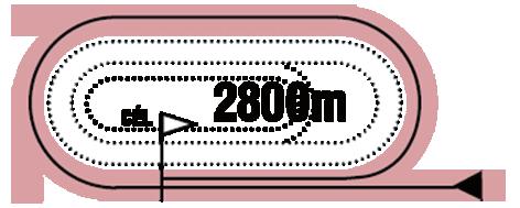 GALOPP 2017.10.01 VIII. FUTAM 17:10 (225) Pálya: 11 - Kincsem Park A futam neve: MAGYAR ST. LEGER (HUN Gd-2) (NGL - X.