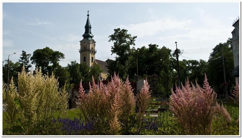 Rokolya dinasztia a 18-19. században Családok az apa ill. az egyedülálló anya neve szerinti ABC sorrendben Die Rokolya Dynastie im 18-19.