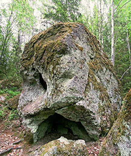 15. ábra: A Piranpoesä-tafoni a finnországi tajgán Figure 15: Piranpoesä Tafoni in the taiga of Finland A különböző klimatikus tényezők tafoniképző szerepét már nem azonosan ítélik meg más és más