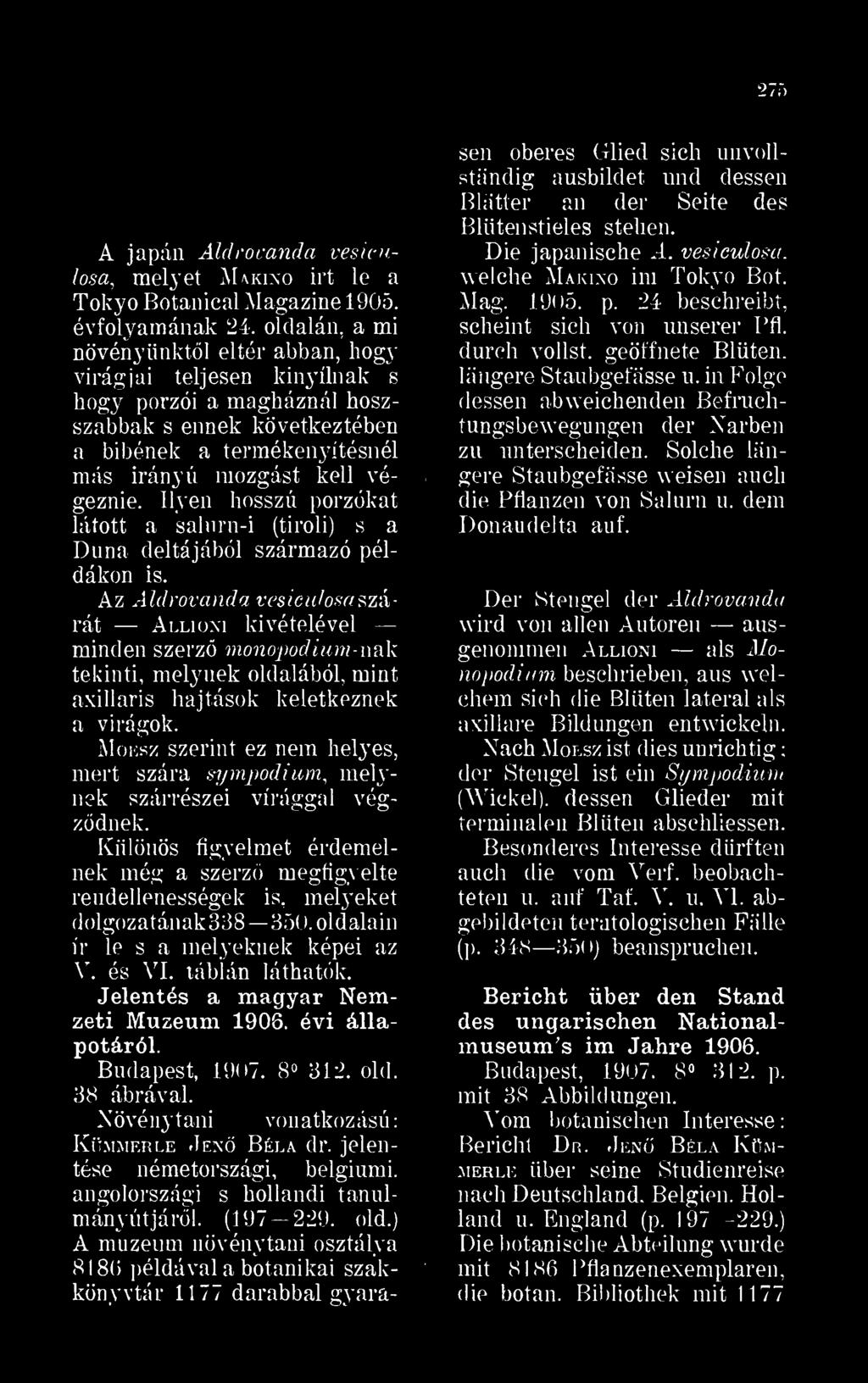 Ilyen hosszú porzókat látott a salnrn-i (tiroli) s a Duna deltájából származó példákon is.