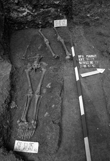 cases, the deceased was wrapped in a mat or sedge-like material. The graves in this cemetery were oriented west-east (GAÁL 1982, 164 165; WICKER 2002, 97 98, 108).