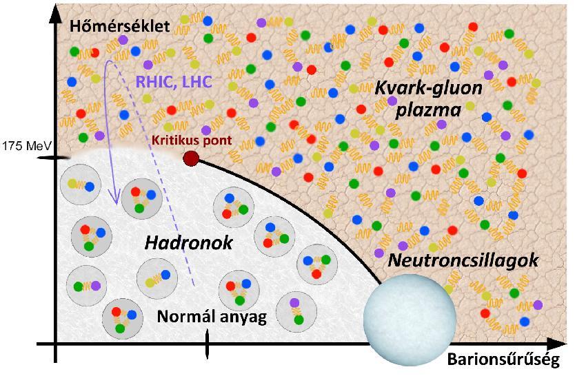 5. ábra. A QCD fázisdiagramjának illsztrációja. A forrásfüggvény ennek megfelel en két komponens összegeként írható fel: S = S mag + S glória.