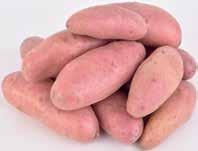 500 g, 378 Ft/kg 189