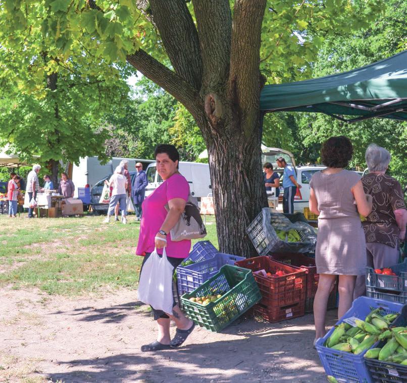2015. augusztus 6. www.lokal.hu 11 Problémája van? Érdekes a szomszédja vagy hallott egy különös történetet?