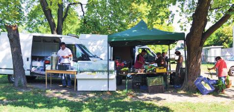 12 www.lokal.hu 2015. augusztus 6. kerületi hírek Mi a véleménye?