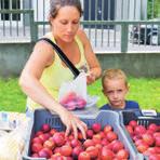 Korábban csak a tyások használták ezt a ku- gyönyörű területet, most a közjót szolgálja mondta a piac üzemeltetője.