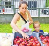A munkában és a kiszolgálásban lánya, Bernadett segít, aki édesapja Hellinger Ferencné Irma, a piac üzemeltetője Svigruha Boldizsár és lánya, Bernadett a lakókocsi-hentespultnál szándéka szerint