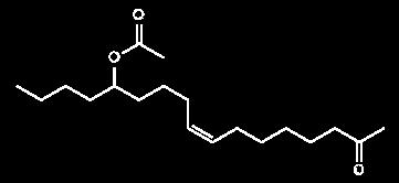 2S-E10-acetoxi-tridekén 2S-Z8E10-acetoxi-tridekén