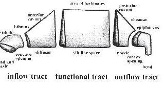 Mlynski G,Grützenmacher S,Plontke S, Mlynski B, Lang C (2001)