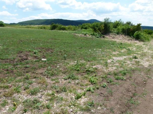 c) Az európai uniós pályázatot mutató tábla a rekultivált területen Olaszliszka és Erdőbénye között.