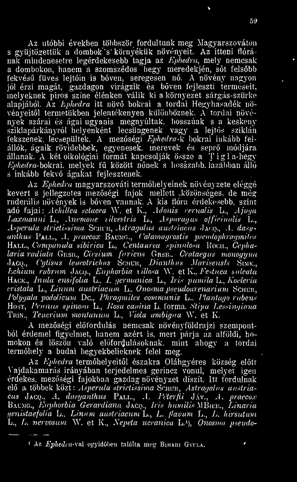 A növény nagyon jól érzi magát, gazdagon virágzik és bven fejleszti terméseit, melyeknek piros színe élénken válik ki a környezet sárgás-szürke alapjából.