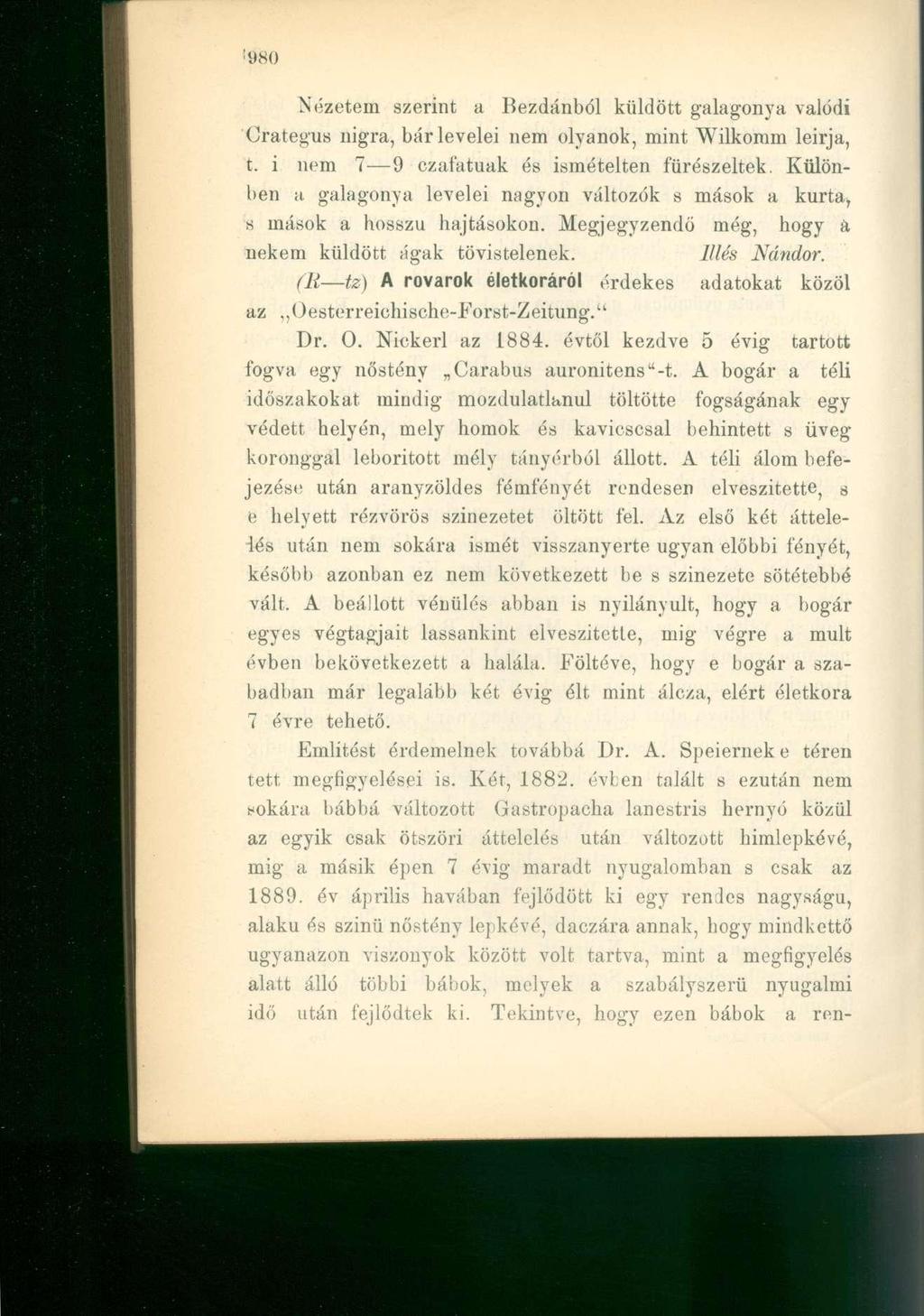 Nézetein szerint a Bezdánból küldött galagonya valódi Orategus nigra, bár levelei nem olyanok, mint Wilkomm leirja, t. i nem 7 9 czafatuak és ismételten fűrészeltek.