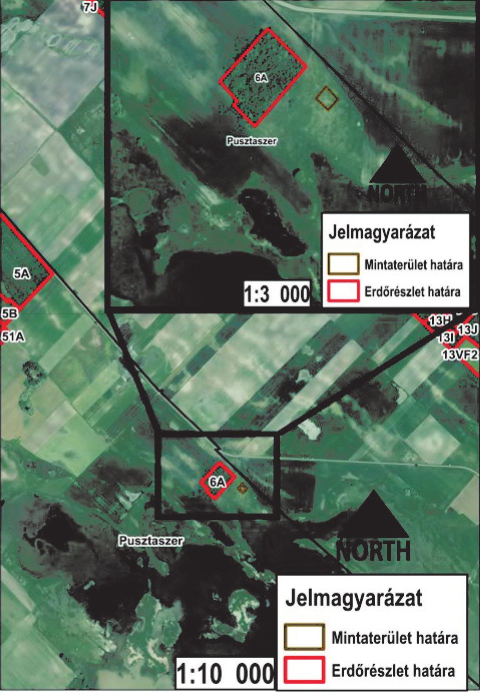 Az egyes éveket az az erdészeti szárazsági index (Führer 2010) alapján is jellemezztük.