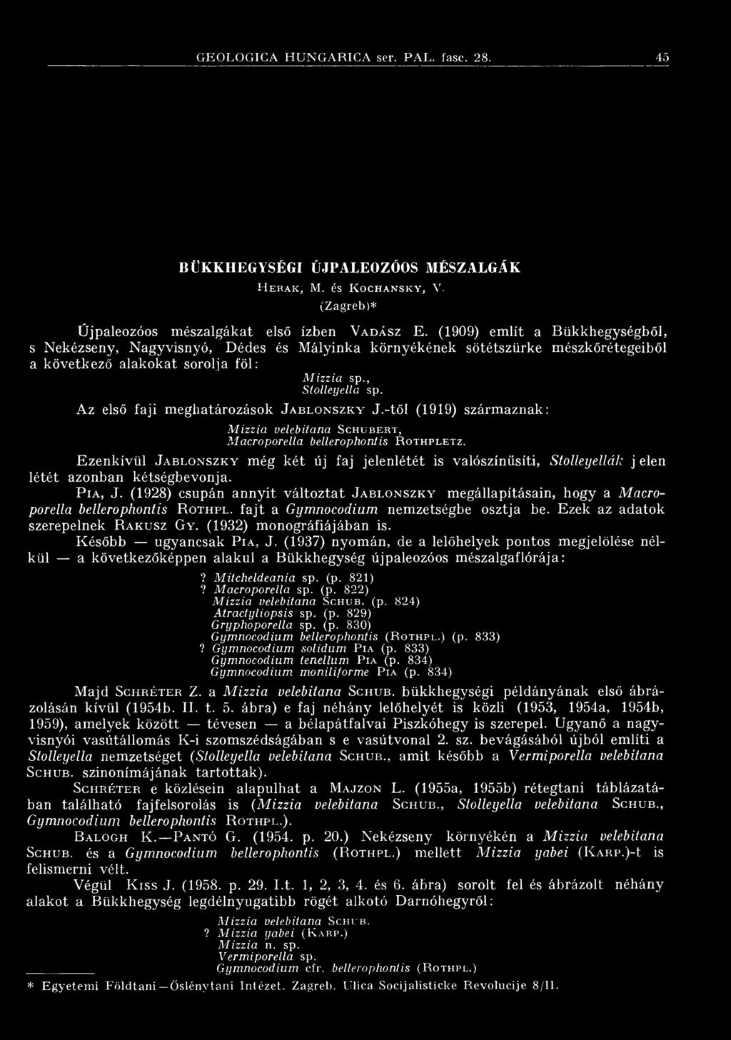 Az első fa ji meghatározások J a b l o n s z k y J.-től (1919) származnak: Mizzia velebitana Sc h u b e r t, Macroporella bellerophordis R o t h p l e t z.