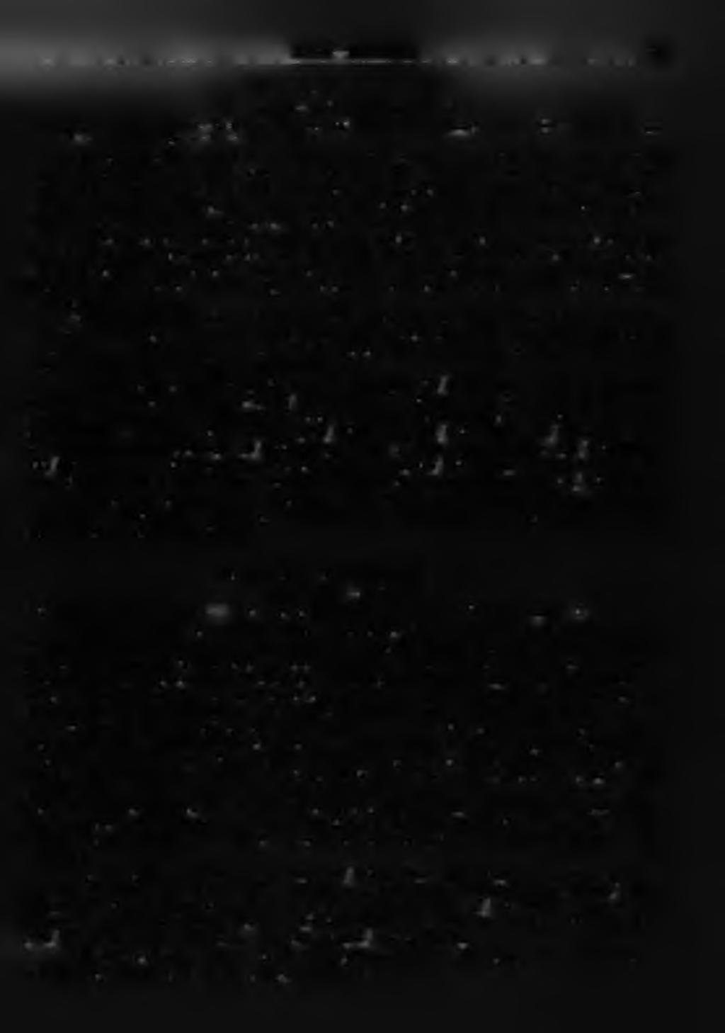 Herak Kochansky 55 Permocalculus fragilis (P ia ) III. tábla 2 9. ábra, IV. tábla 1. ábra 1960. Permocalculus fragilis H e r a k és K o c h a n s k y : Geol. vjesnik. Zagreb. 13. pp. 188 191. pl. II. figs.