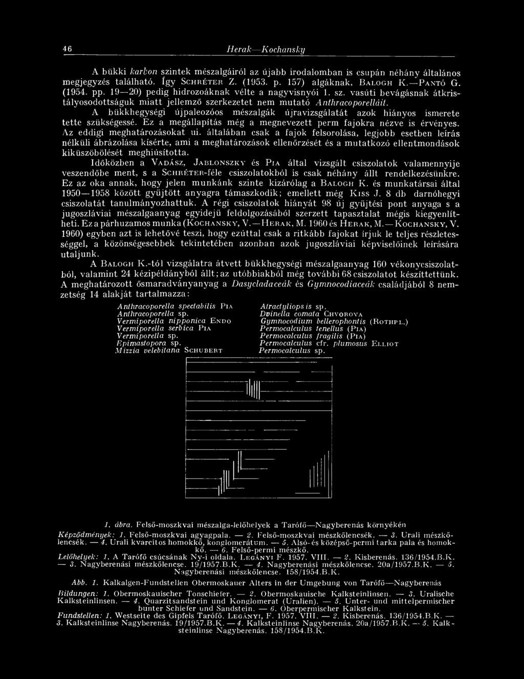 A bükkhegységi újpaleozóos mészalgák újravizsgálatát azok hiányos ismerete tette szükségessé. Ez a megállapítás még a megnevezett perm fajokra nézve is érvényes. Az eddigi meghatározásokat ui.