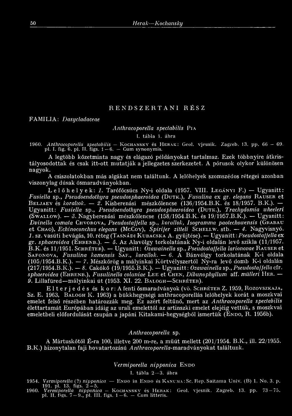 Ezek többnyire átkristályosodottak és csak itt-ott mutatják a jellegzetes szerkezetet. A pórusok olykor különösen nagyok. A csiszolatokban más algákat nem találtunk.