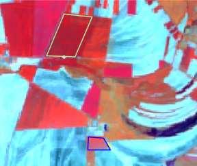 búzatáblákon Landsat TM8