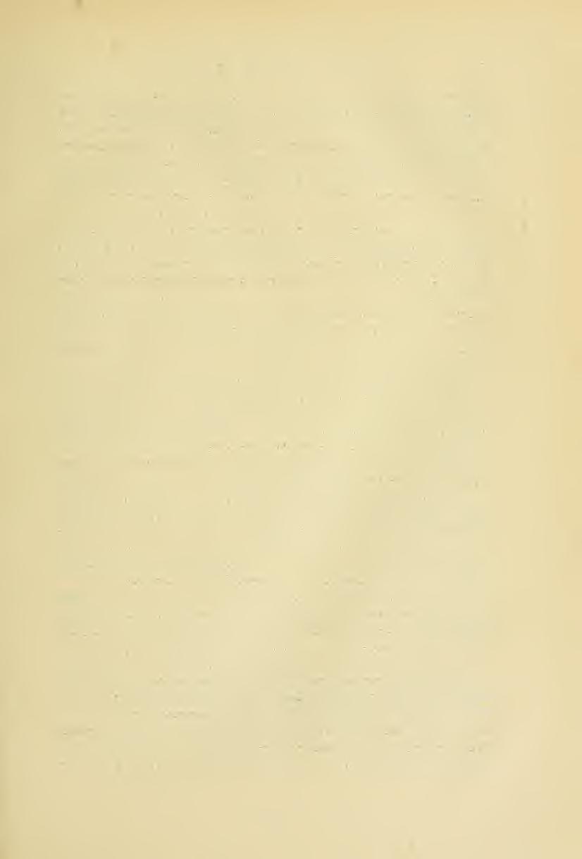 A HAZAI PRIMULÁK FÖLDRAJZI ELTERJEDÉSE. 465 schrift 1897, 194. non Schur, Emim. 1866, p. 554), etiam pro uí^r.ekitior X IciicophyUa>^ interpretari potest. Folia tenuia, siibtus albicantivillosula J^r.