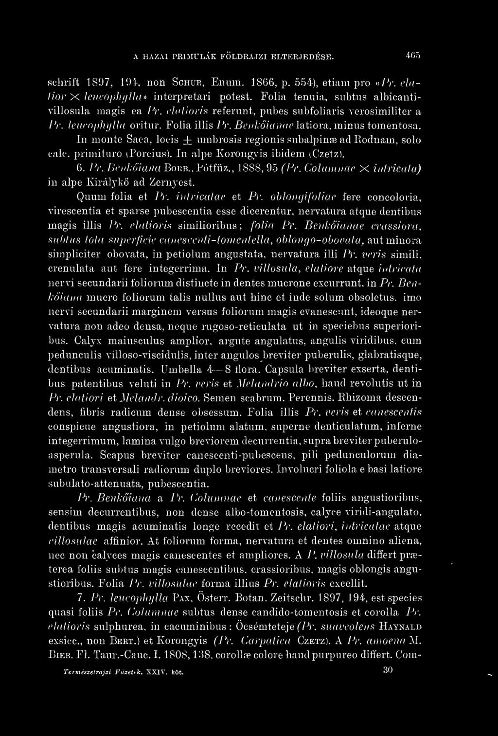 oblongifoliae fere concoloria, virescentia et sparse pubescentia esse dicerentur, nervatura atque dentibus magis illis Pr. elatiori'i similioribus ; folia Pr.