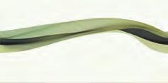 OD660-019* GLASS LIGHT GREEN BORDER NEW -