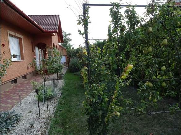 pihenő és veteményeskerttel is.