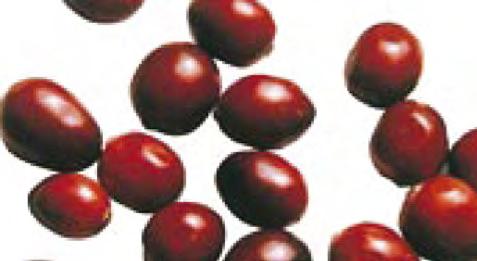 (sorbat-kaliumi, benzoatnatriumi), stabilizues (xanthan- gomë), antioksidant (vitamin E) Vëllimi neto: