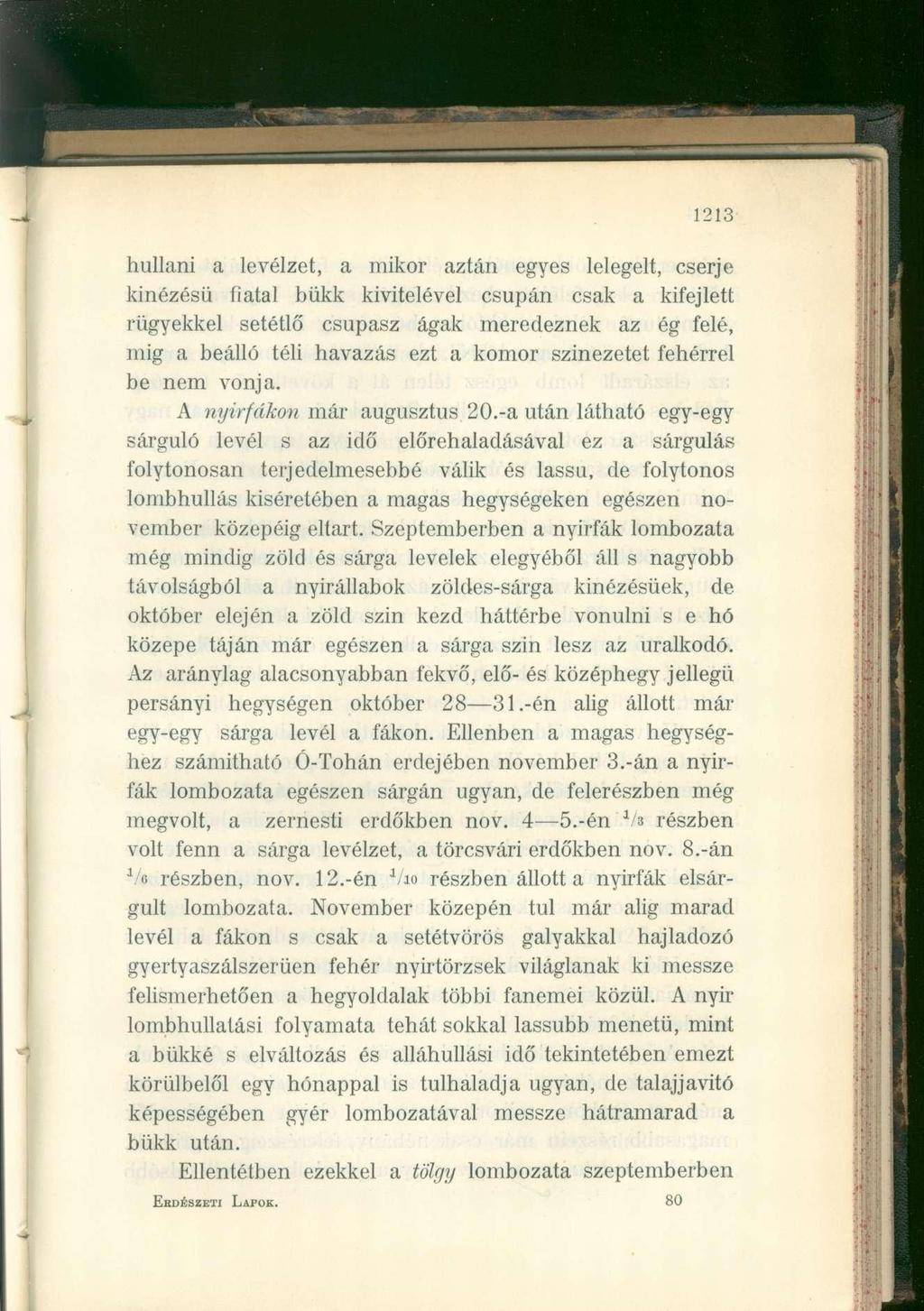 1213 hullani a levélzet, a mikor aztán egyes lelegelt, cserje kinézésű fiatal bükk kivitelével csupán csak a kifejlett rügyekkel setétlő csupasz ágak meredeznek az ég felé, mig a beálló téli havazás