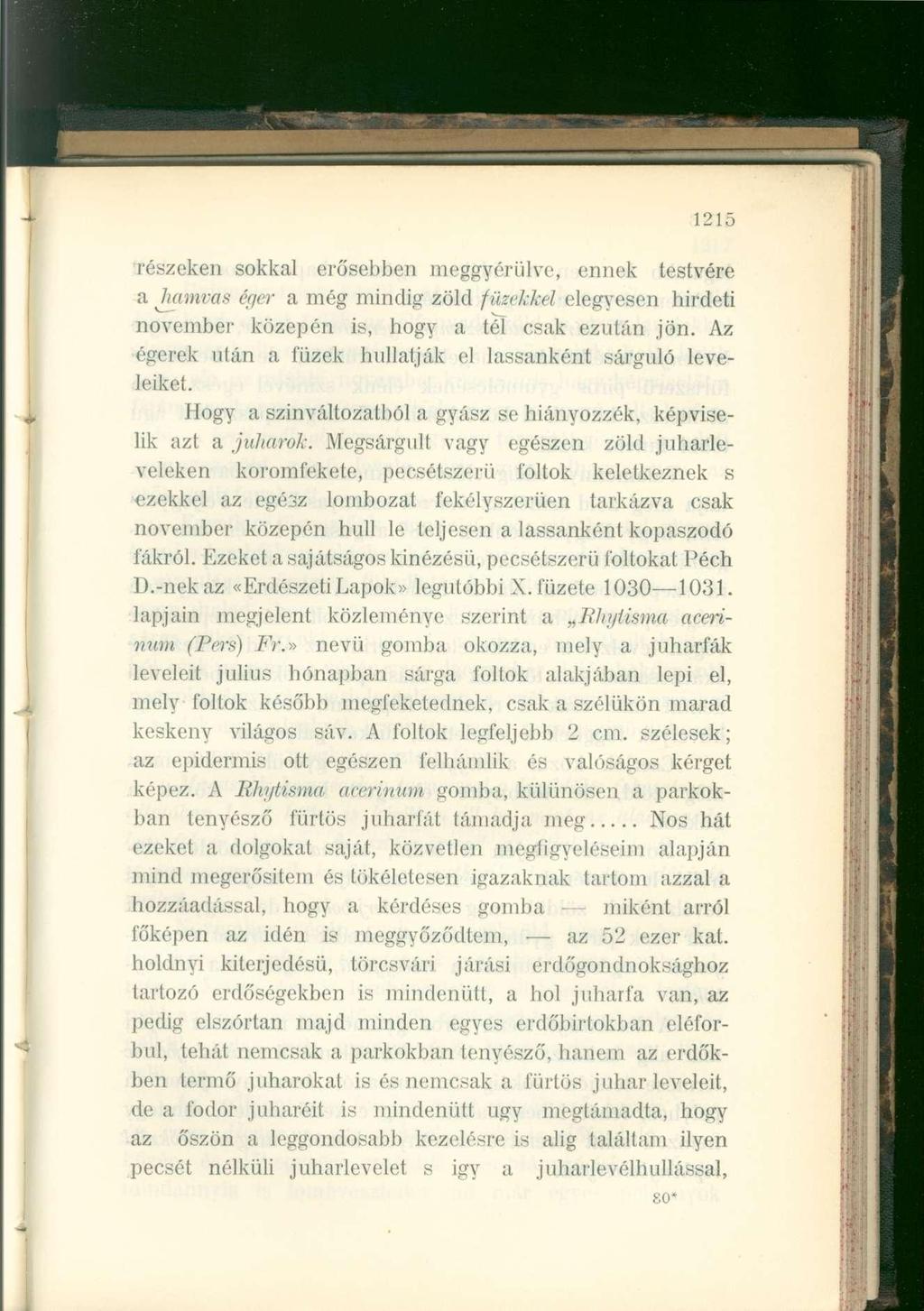 1215 részeken sokkal erősebben meggyérülve, ennek testvére a hamvas éger a még mindig zöld füzekkel elegyesen hirdeti november közepén is, hogy a tél csak ezután jön.