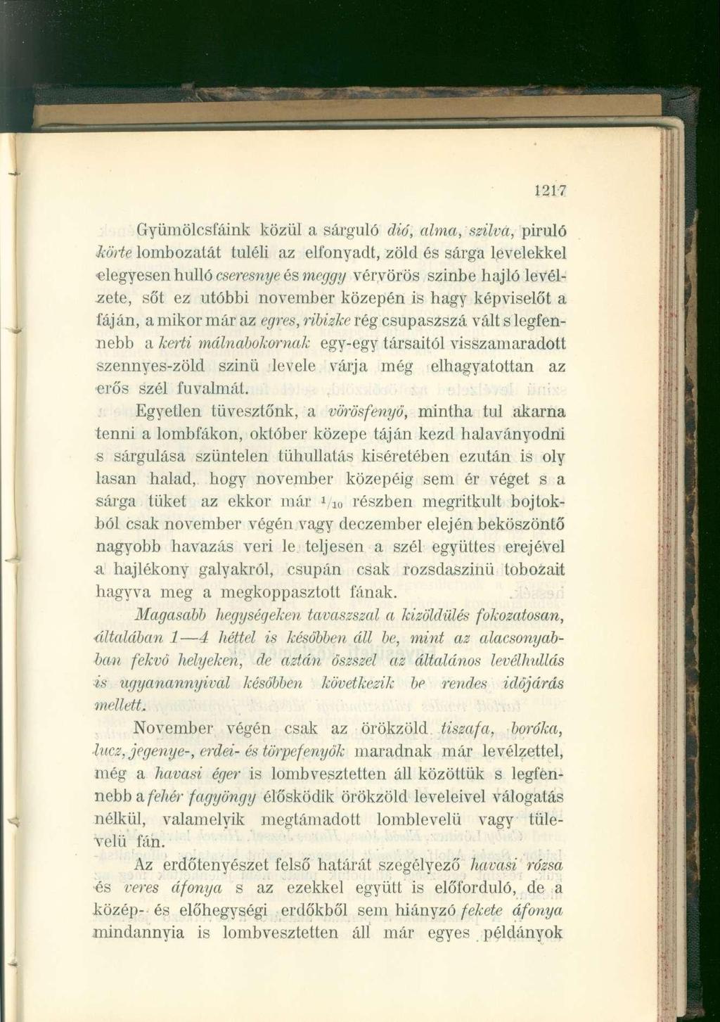 1217 Gyümölcsfáink közül a sárguló dió, alma, szilva, piruló körte lombozatát túléli az elfonyadt, zöld és sárga levelekkel elegyesen hulló cseresnye és meggy vérvörös szinbe hajló levélzete, sőt ez