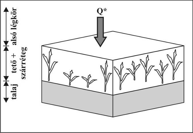A talaj - növény - levegő rendszer energiaegyenlege Q* = Q H + Q + Q S + Q (+