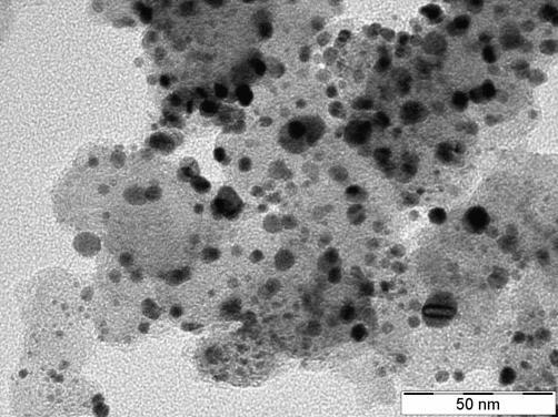 150 120 90 60 30 0 1 5 9 13 17 21 25 29 33 37 Particle size (nm) C 60 50 40 30 20 D 150 120 90 60 30 10 0 0 2 4 6 8 10 12 14 16 18 Particle size (nm) 0 1 5 9 13 17 21 25 29 33 37