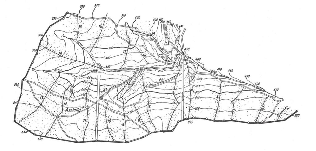 Faállomány-szerkezeti kutatások a Roth emlékerdőben 129 Roth Gyula 1936-os jelölései a kísérleti erdőt 23 vonallal (20 tengelyvonal és 3 szegély) 0,5 7,0 hektár nagyságú szálalóegységekre osztották.