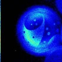 Fluoreszcencia fluoreszcencia