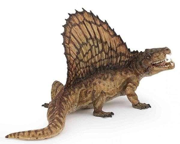 Az emlősszerű hüllők (pl. a Dimetrodon) kialakulása mintegy 300 millió évvel ezelőtt, a karbonkor végén vette kezdetét.