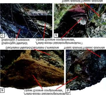 Földtani Közlöny 145/4 (2015) 333 mény jelenleg az alábbi he - lyeken tanulmányozható: buda örsi Kő-hegy, Kálváriadomb (HOFMANN 1871; WEIN 1977; HORVÁTH & TARI 1984, 1987, MAGYARI 1996), János-hegy