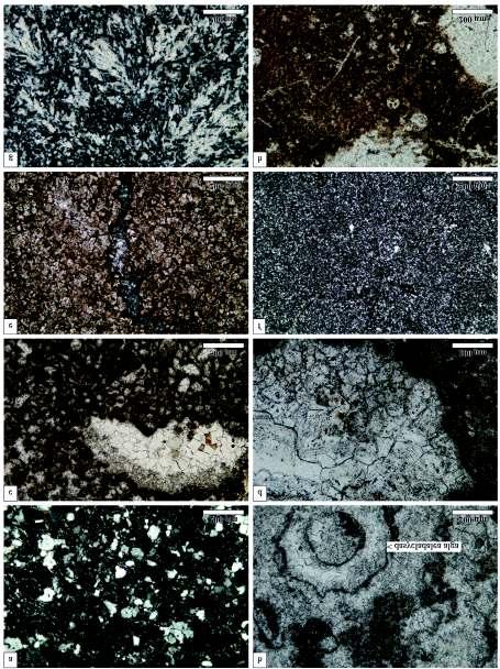 344 FARICS Éva et al.: A Budai-hegység felső-eocén összletének bázisán települő törmelékes üledékes kőzetek petrográfiai jellegei 12. ábra.
