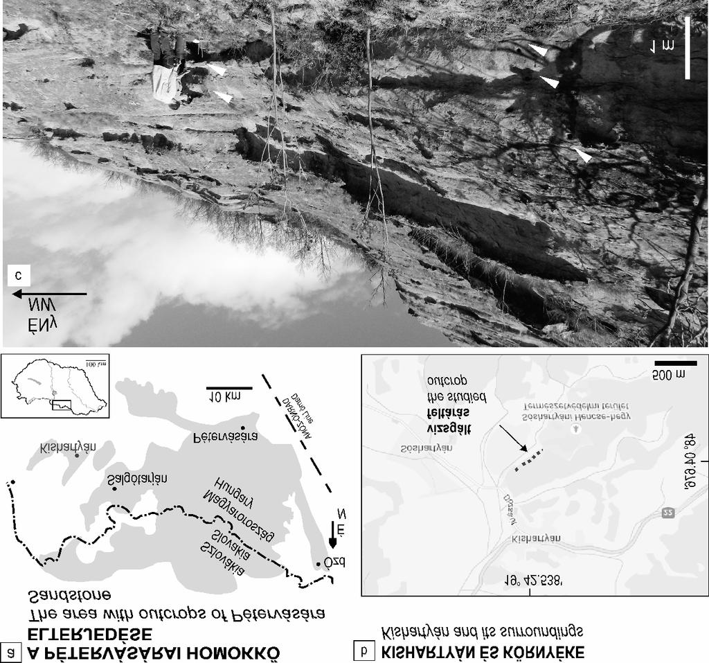 SZŐCS Emese et al.: A kora-miocén Pétervásárai Homokkő diagenezis-története 354 1. ábra. a) A Pétervásárai Homokkő elterjedési területe (SZTANÓ1994) és a vizsgált feltárás helye.